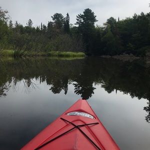 Meet your Posher, Elyse